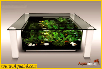 Installation d'aquariums d'exception